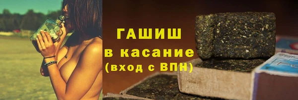 прущие грибы Магадан