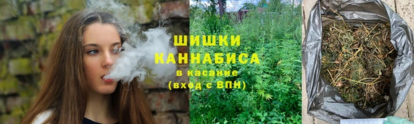 прущие грибы Магадан