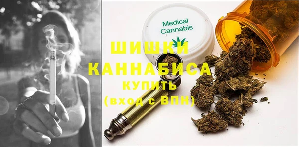 прущие грибы Магадан