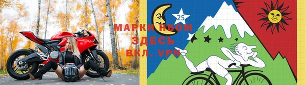прущие грибы Магадан