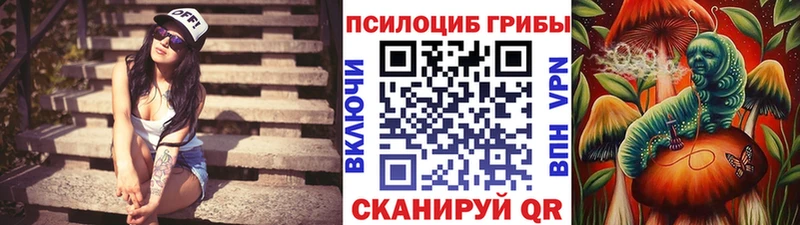 МЕГА вход Саратов Псилоцибиновые грибы GOLDEN TEACHER
