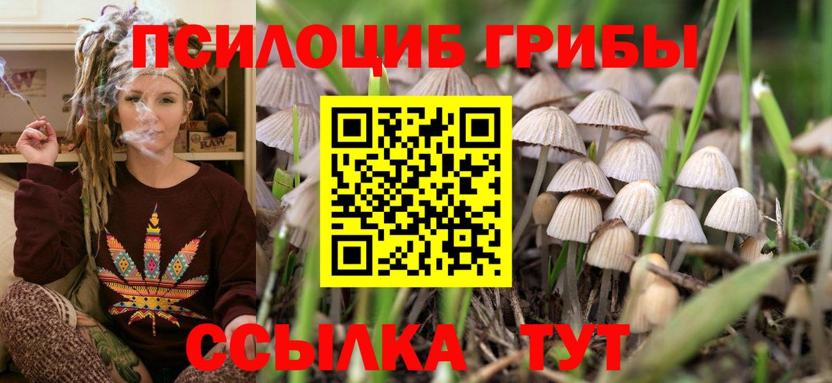 Галлюциногенные грибы MAGIC MUSHROOMS  Вход с VPN  Галлюциногенные грибы мицелий  Саратов 